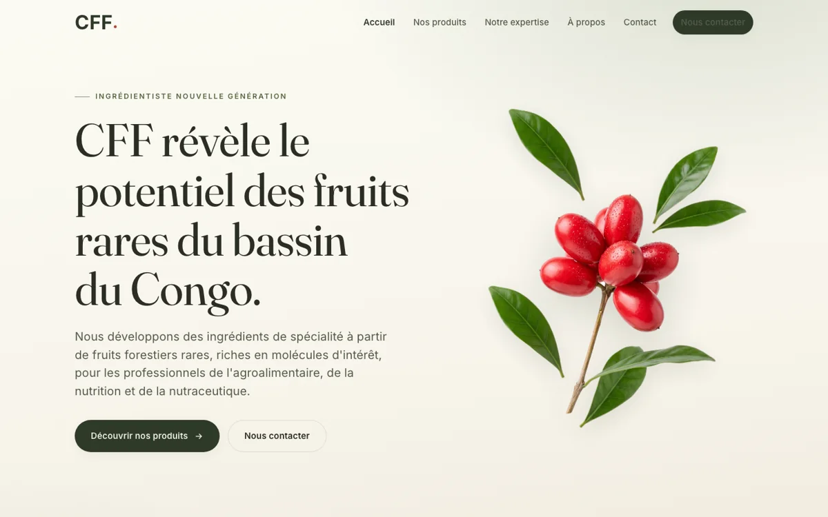 Page d’accueil du site Congo Forest Flavors